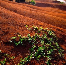 《浪漫沙加 吟游诗人之歌HD》中文版 将于3月30日发售